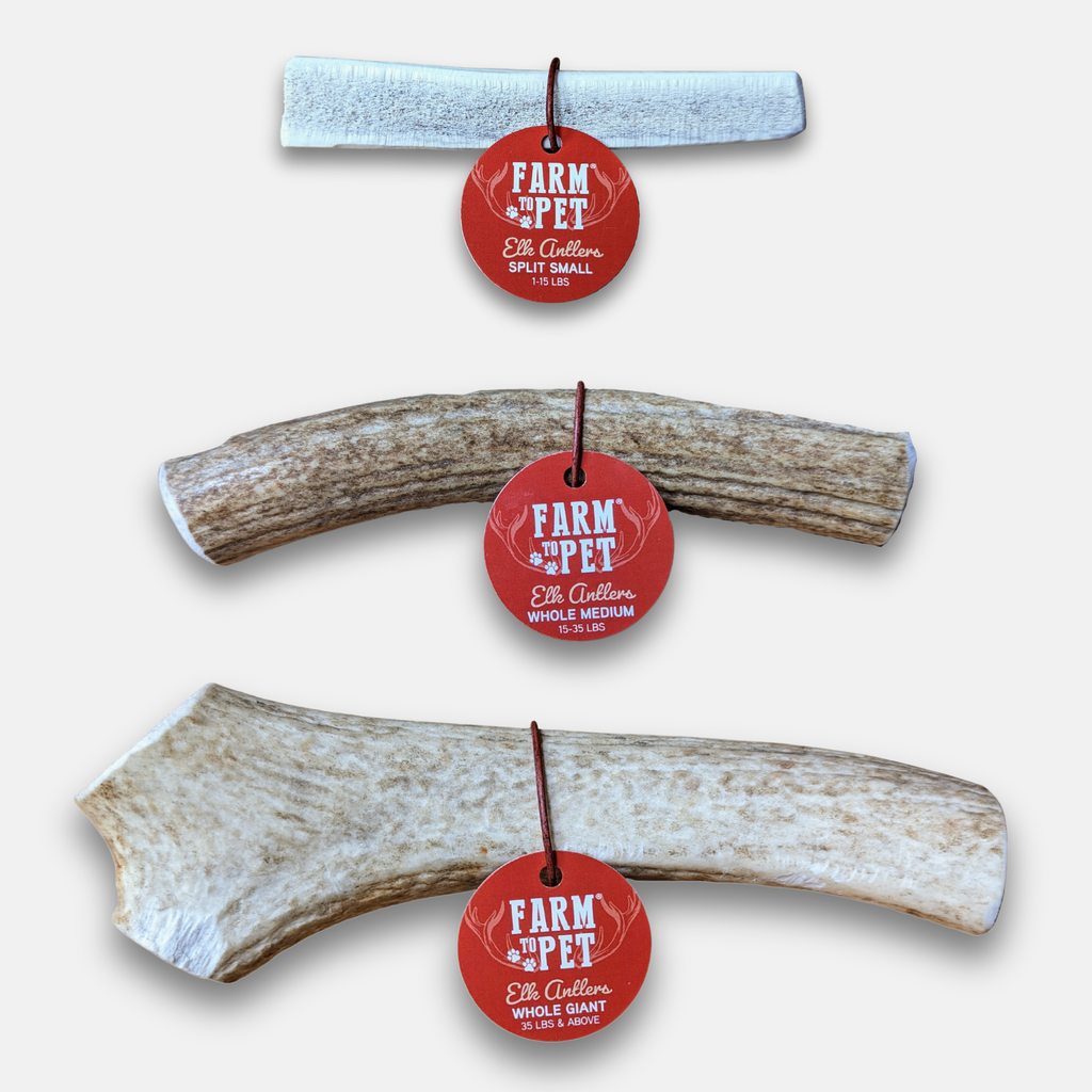 Elk Antler Dog Chews | All-Natural Whole and Split Elk Antler Chews for Dogs